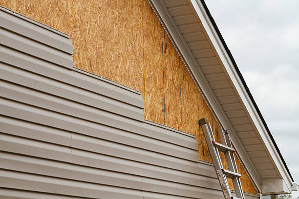 Professional Siding Repair technician working in Monument, CO